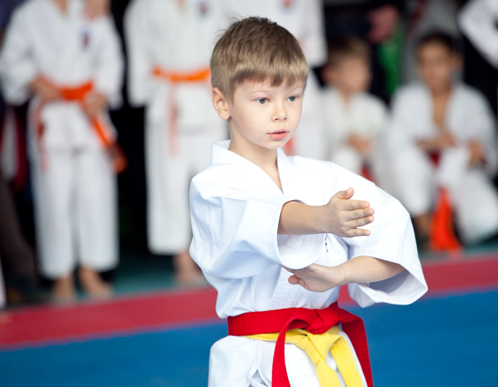 Единоборства, В Севастополе прошел чемпионат по каратэ-до 