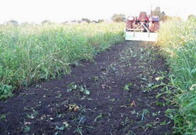 Земля, За год в Крыму восстановлено 13,8 га поврежденных земель