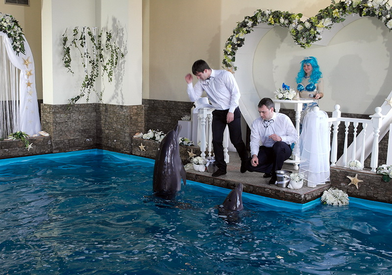 В Ялте состоялась первая в Украине свадьба дельфинов
