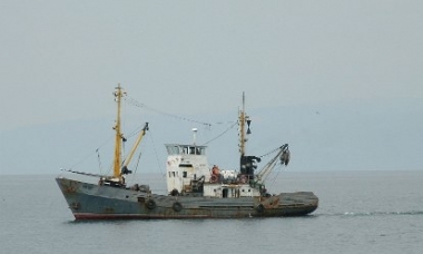 Рыболовецкие сейнеры уничтожают фауну у берегов Алушты, – городской голова Рыболовецкие сейнеры уничтожают фауну у берегов Алушты, – городской голова