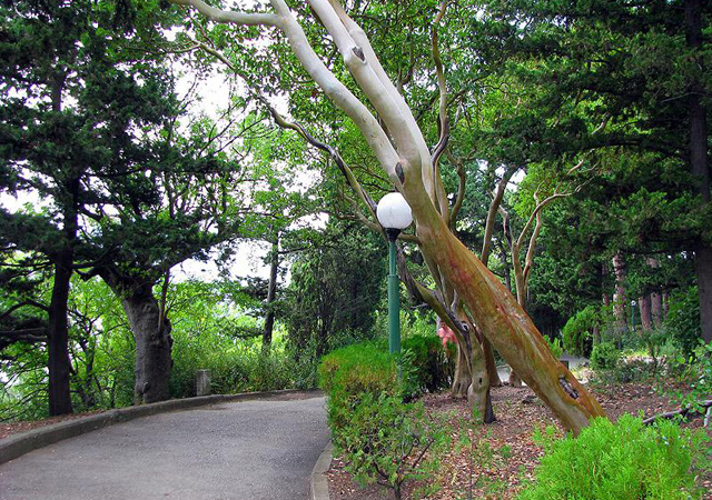 Участок земли в парке «Карасан» в Алуште вернули государству 