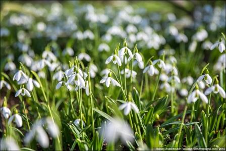 На неделе в Крыму сохранится тепло На неделе в Крыму сохранится тепло