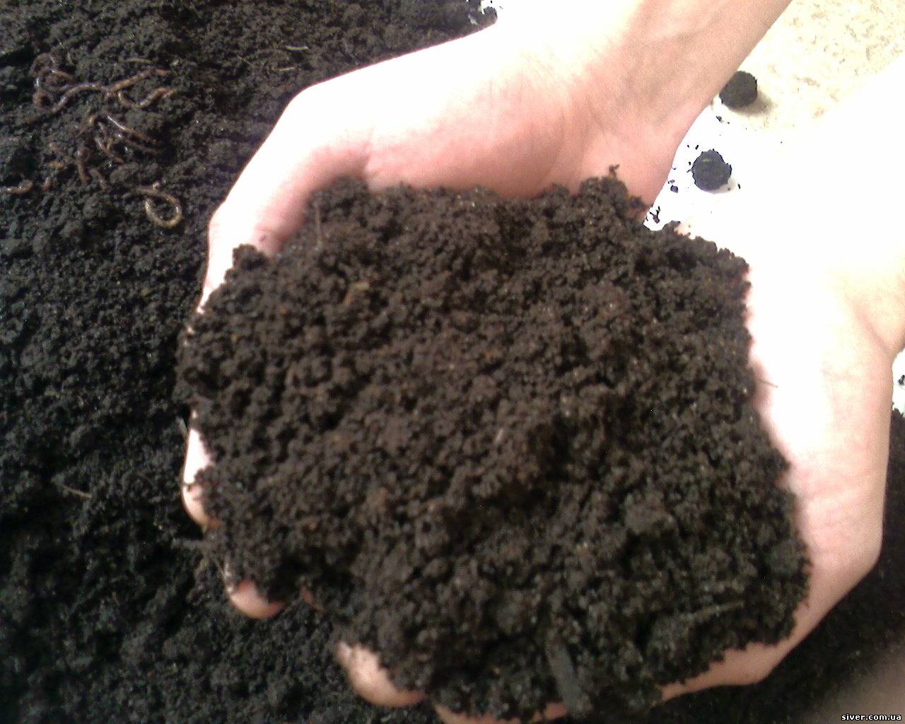 В Крыму создали комиссию по контролю за землями