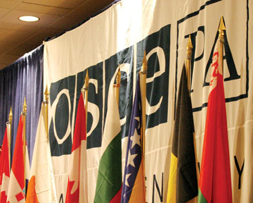 В Крыму заподозрили ОБСЕ в предвзятом отношении