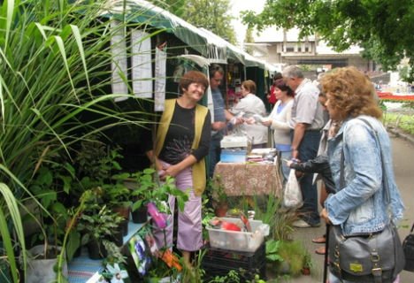 В Алуште пройдет выставка-ярмарка «Зеленый мир»
