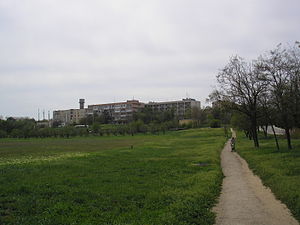 В Симферополе на пожаре погибла женщина В Симферополе на пожаре погибла женщина