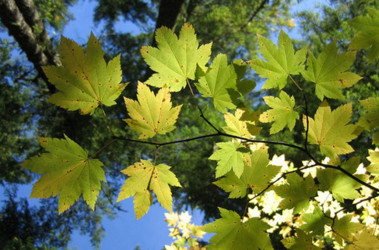 На неделе в Крыму похолодает