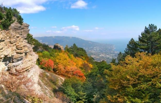 В Крыму национализировали лесхозы и заповедники