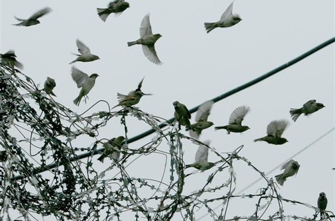 В Крыму изменили порядок помилования В Крыму изменили порядок помилования