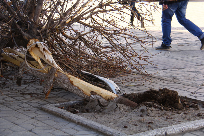Ночью в пешеходной зоне Симферополя сбили мужчину Ночью в пешеходной зоне Симферополя сбили мужчину