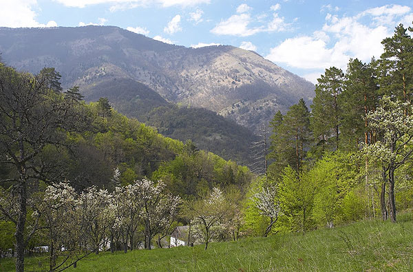 В Крыму лесники лишатся полномочий по взиманию платы за посещение природных объектов В Крыму лесники лишатся полномочий по взиманию платы за посещение природных объектов