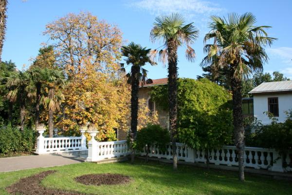 В Крыму создадут предприятие «Никитский ботанический сад – Крымский научный центр»