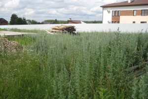 С 15 апреля в Крыму начнут прием документов на регистрацию земли