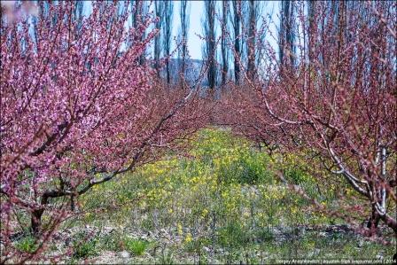 На неделе в Крыму будет тепло 