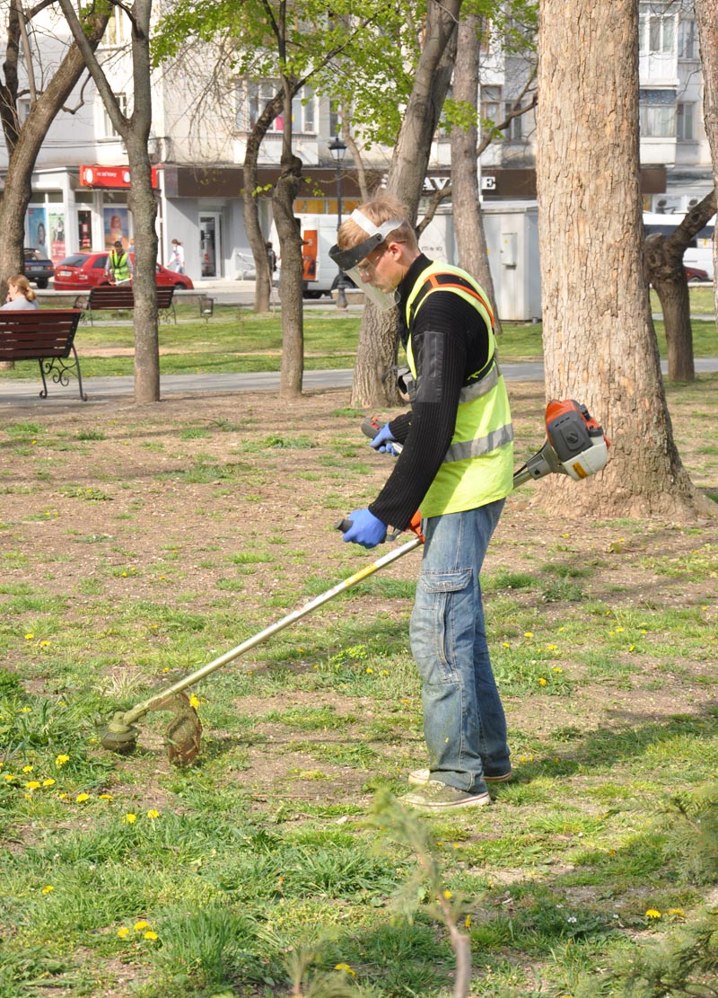 В Симферополе начался покос травостоя В Симферополе начался покос травостоя
