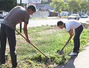 В Севастополе проведут субботник 
