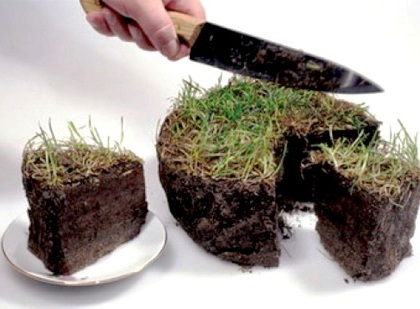 Частнику незаконно выделили участок земли у моря на севере Крыма