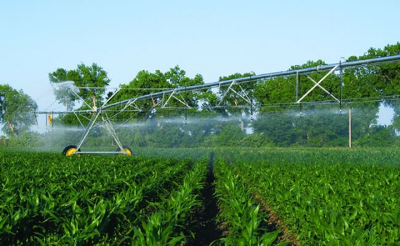 В Крыму сельхозтоваропроизводителям компенсируют потери из-за отсутствия орошения