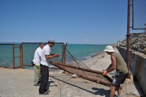 В Крыму планируют создать общественный береговой патруль В Крыму планируют создать общественный береговой патруль