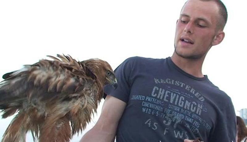 Крымская самооборона будет бороться с фотографами-живодерами