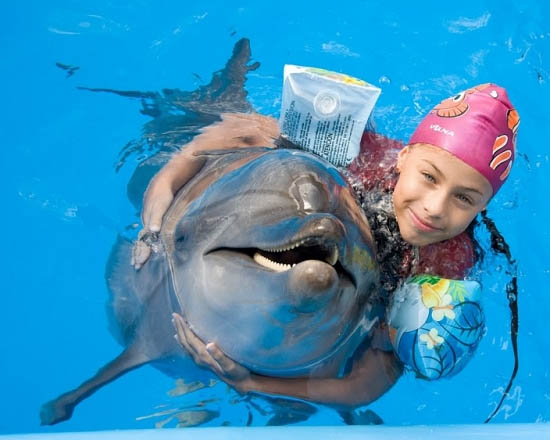 Дельфинарий в Алуште возобновил сеансы дельфинотерапии