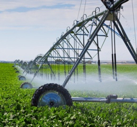 На орошение в Крыму подается около 10% от необходимого объема воды