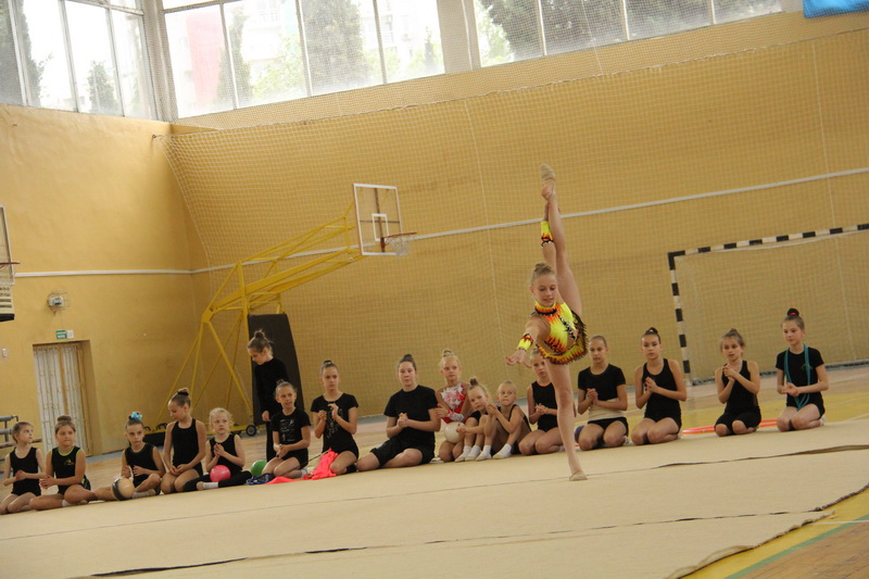 Спортивная инфраструктура Крыма соответствует среднероссийскому уровню Спортивная инфраструктура Крыма соответствует среднероссийскому уровню