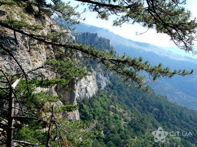 Ялтинскому заповеднику возвращен незаконно отобранный участок земли Ялтинскому заповеднику возвращен незаконно отобранный участок земли