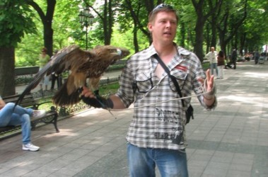 В Крыму большинство изъятых у курортных фотографов животных  суд возвращает владельцам