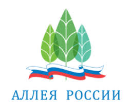 С 1 июля начинается голосование в рамках акции «Аллея России» С 1 июля начинается голосование в рамках акции «Аллея России»