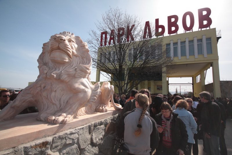 В парке львов «Тайган» выросла цена на входной билет