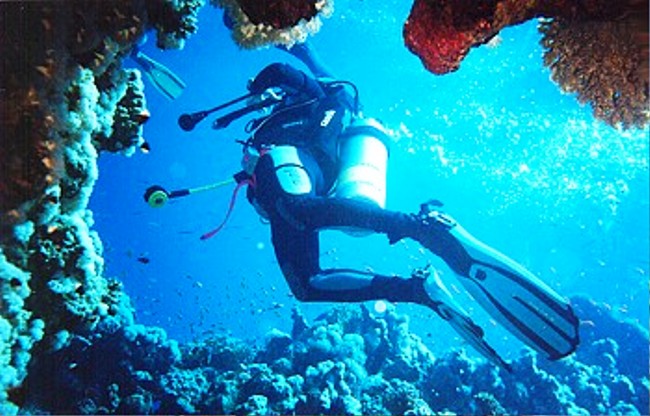 В Крыму создали отделение Конфедерации подводной охоты России