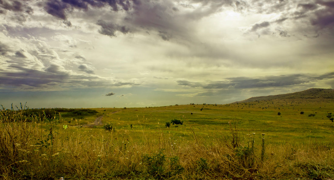 В Крыму не стоит спешить с продажей земли сельхозназначения, – вице-премьер В Крыму не стоит спешить с продажей земли сельхозназначения, – вице-премьер