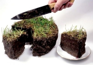 В Кореизе незаконно выделили землю под кафе В Кореизе незаконно выделили землю под кафе