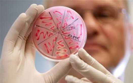 В Ялте высокая заболеваемость детей кишечными инфекциями