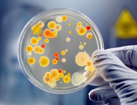 В Алуште заболеваемость кишечными инфекциями ниже прошлогодней