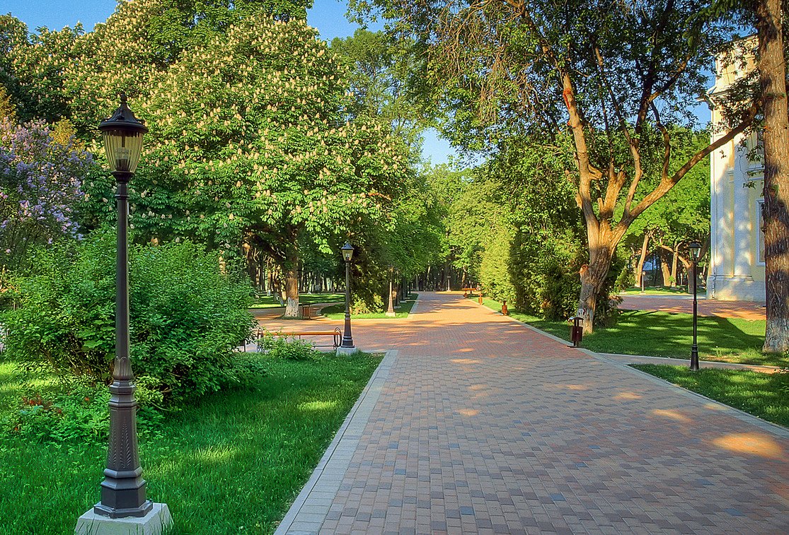 В Крыму за порчу зеленых насаждений придется платить в двойном размере