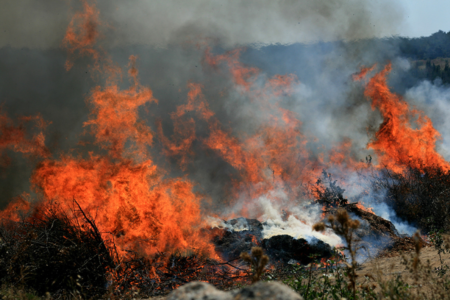 В Севастополе прошли учения по тушению лесного пожара В Севастополе прошли учения по тушению лесного пожара