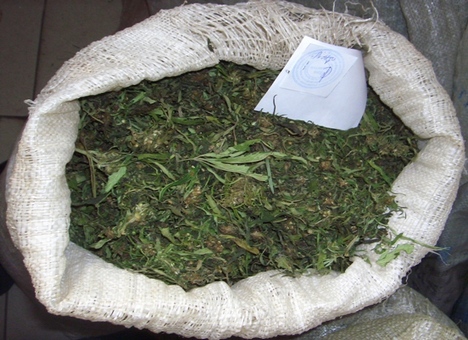 В Севастополе задержали местного жителя с килограммом марихуаны 