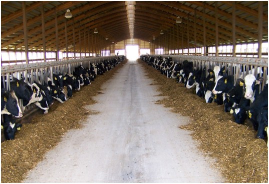 В Крыму проверяют подкарантинные объекты