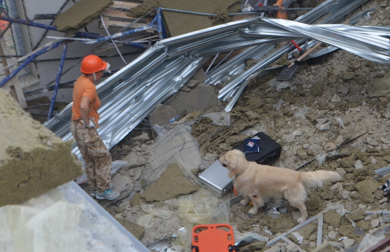 На месте обрушения крыши кадетского училища в Севастополе работают спасатели