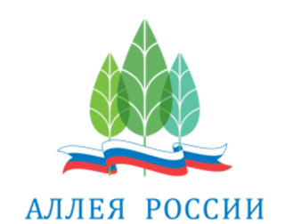 Выборы зеленых символов регионов РФ продлили до 31 октября Выборы зеленых символов регионов РФ продлили до 31 октября