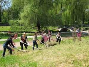 В Симферополе проведут общегородской субботник В Симферополе проведут общегородской субботник