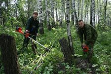 В Симферополе отметили день работников леса В Симферополе отметили день работников леса