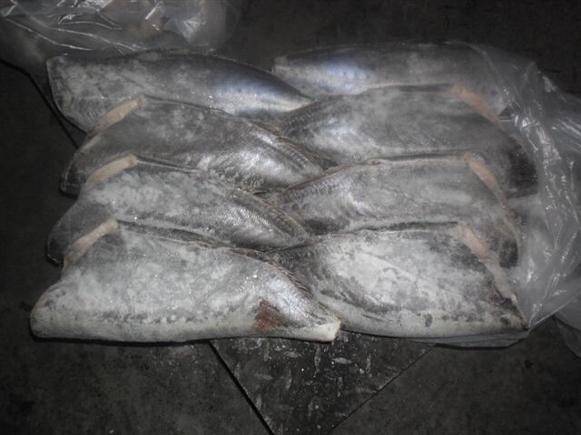 В Крым не пустили две партии рыбного фальсификата В Крым не пустили две партии рыбного фальсификата
