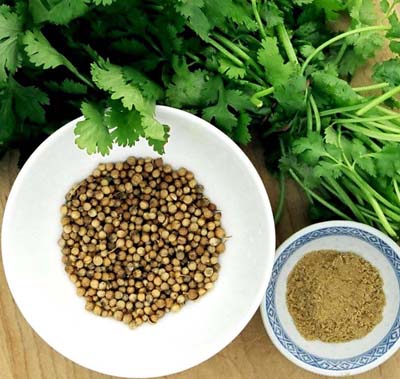 Россия активно закупает крымский кориандр, лаванду и шалфей Россия активно закупает крымский кориандр, лаванду и шалфей