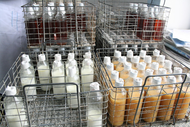 Единственная молочная кухня в Крыму под угрозой закрытия Единственная молочная кухня в Крыму под угрозой закрытия