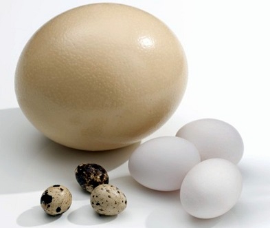 В Крым контрабандой пытались провезти перепелиные яйца