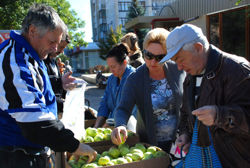 В Евпатории проводятся дни продажи яблок В Евпатории проводятся дни продажи яблок