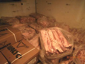 В Крым пытались провезти свинину из области заражения африканской чумой В Крым пытались провезти свинину из области заражения африканской чумой